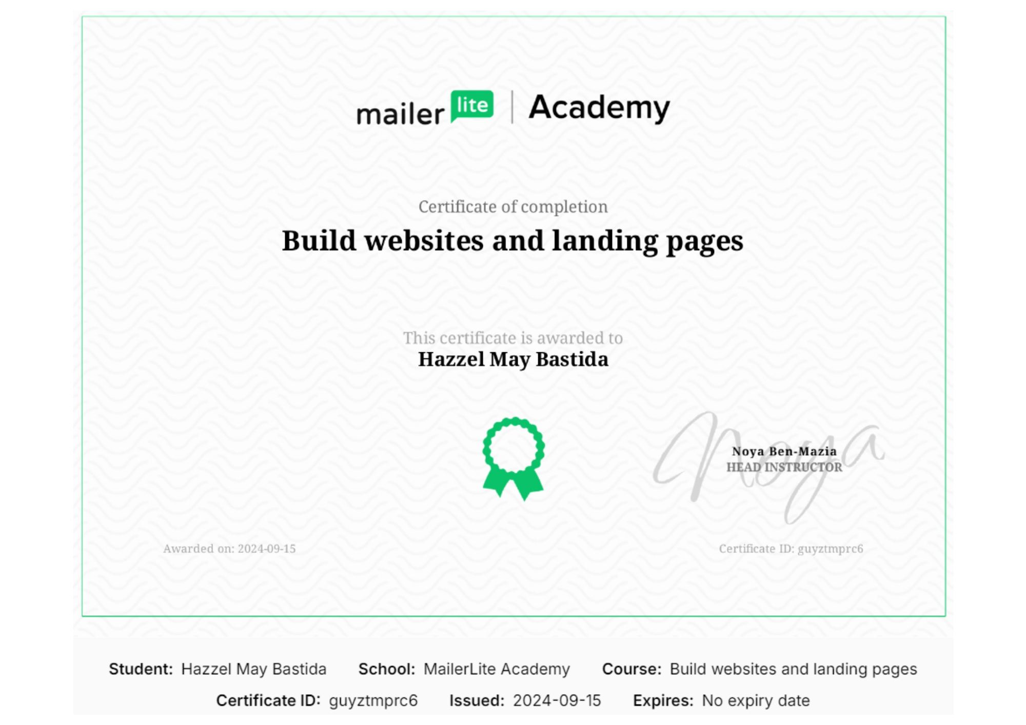 Websites & Landing Pages certificate